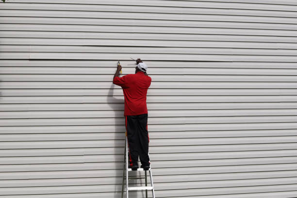 Best Residential Vinyl Siding Installation  in Trinity, AL