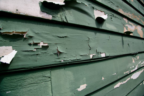  Trinity, AL Siding Installation Pros