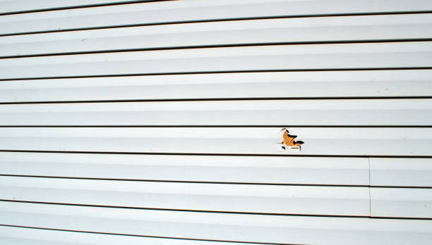 Best Custom Siding Design  in Trinity, AL