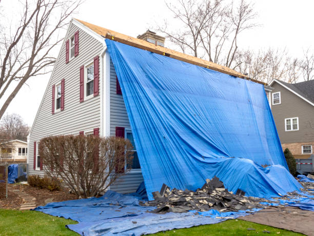 Best Weatherproofing and Sealing  in Trinity, AL