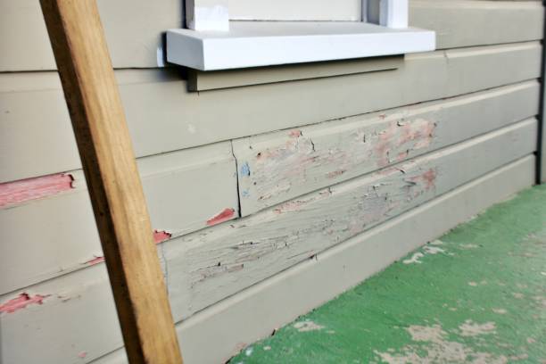 Best Engineered Wood Siding  in Trinity, AL