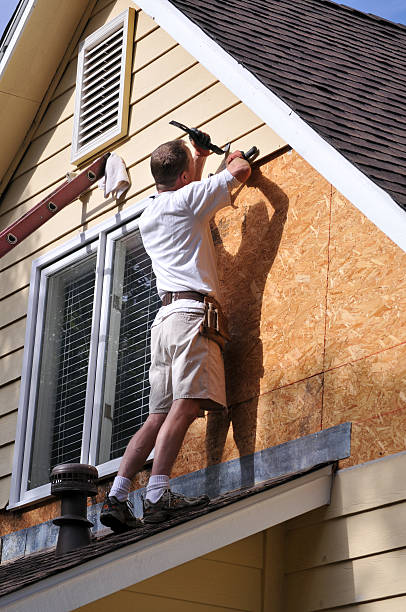 Affordable siding repair and maintenance services in Trinity, AL
